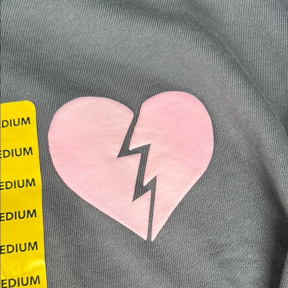 Wildfox Gray and Pink Sweatshirt Casual Comfort - Picture 5 of 11
